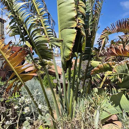 I Miti 12 - Caserio Museo Chio (Tenerife)