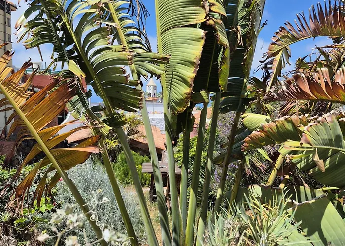 I Miti 12 - Caserio Museo Chio (Tenerife)