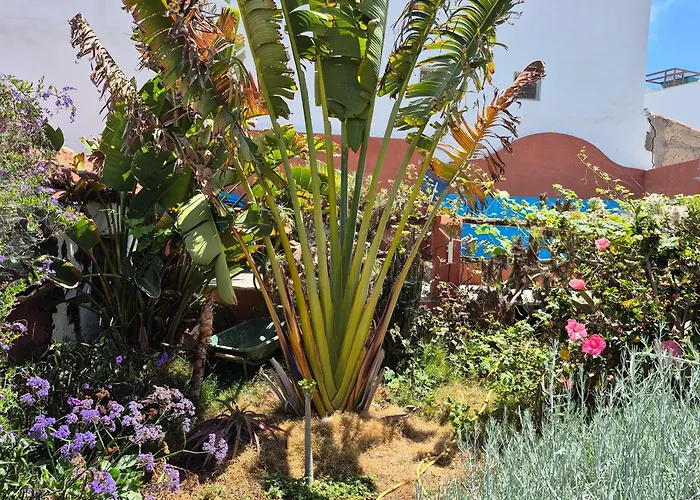 I Miti 12 - Caserio Museo Guest house Chio (Tenerife)